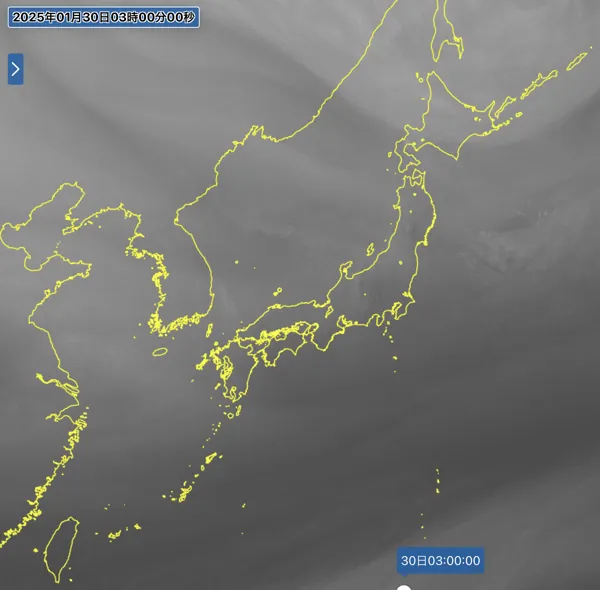 2025年1月30日3時の日本周辺の衛星水蒸気画像