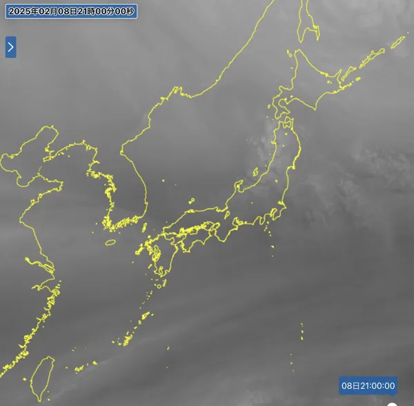2025年2月8日21時の日本周辺の衛星水蒸気画像