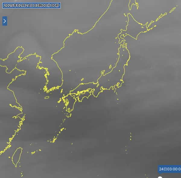 2025年2月24日3時の日本周辺の衛星水蒸気画像