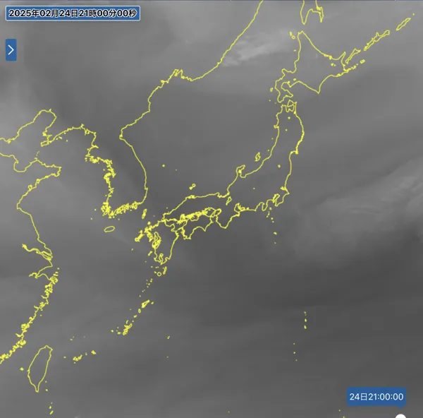 2025年2月24日21時の日本周辺の衛星水蒸気画像