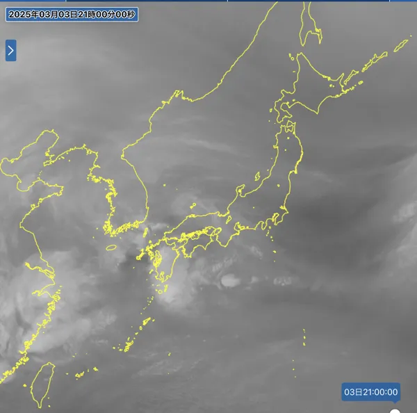 2025年3月3日の日本周辺の衛星水蒸気画像（21時）