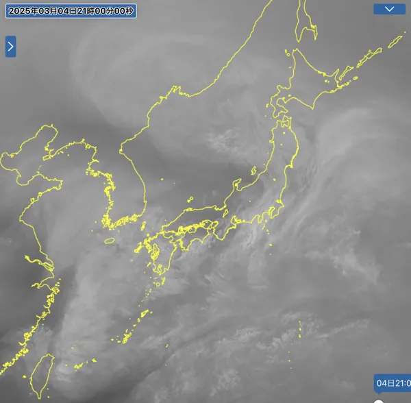 2025年3月4日21時の日本周辺の衛星水蒸気画像