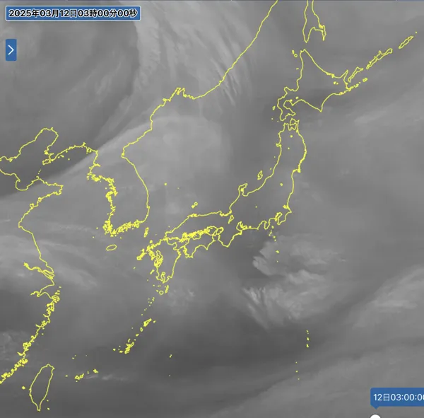 2025年3月12日3時の日本周辺の衛星水蒸気画像