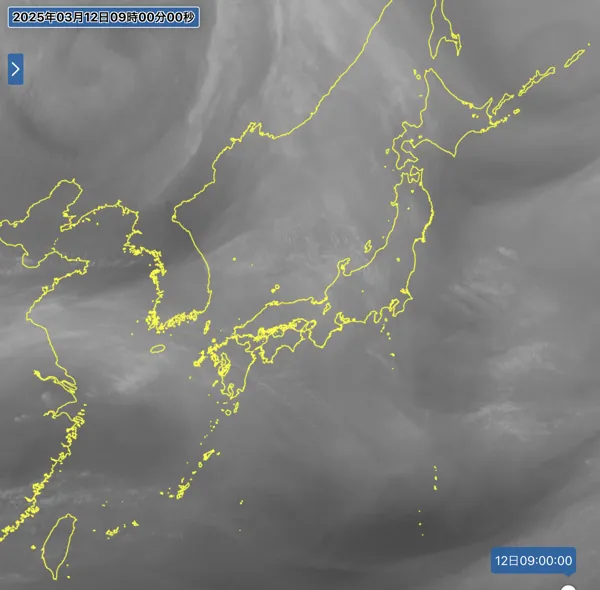 2025年3月12日9時の日本周辺の衛星水蒸気画像