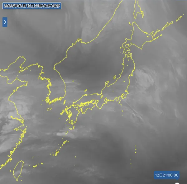 2025年3月12日21時の日本周辺の衛星水蒸気画像