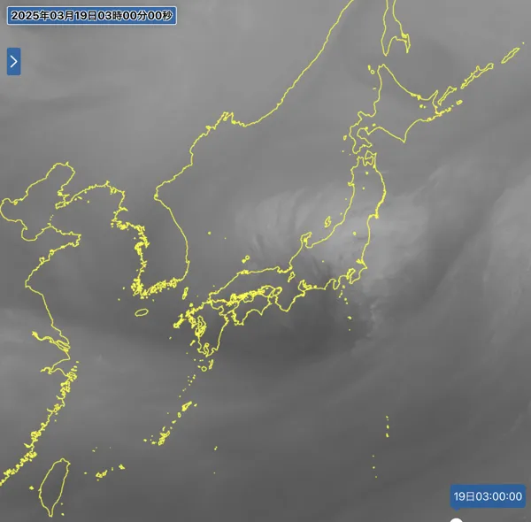 2025年3月19日3時の日本周辺の衛星水蒸気画像
