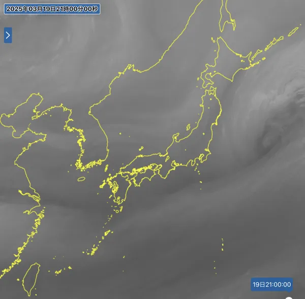 2025年3月19日21時の日本周辺の衛星水蒸気画像
