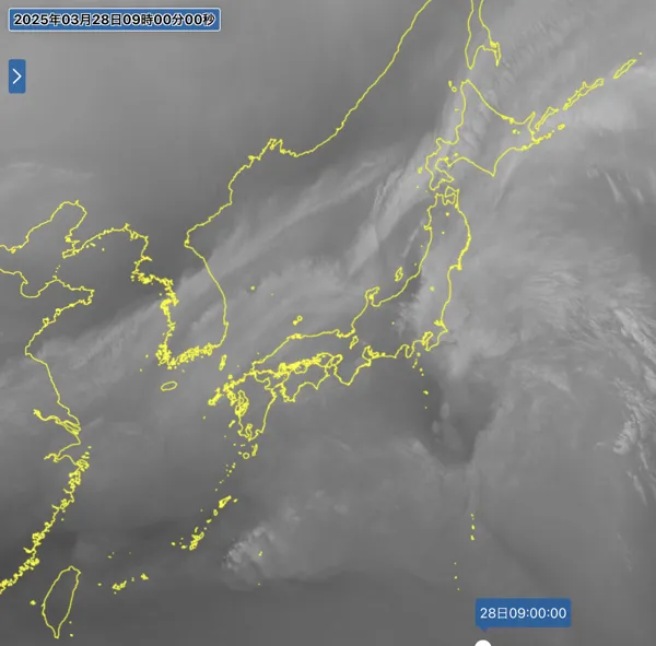 2025年3月28日9時の日本周辺の衛星水蒸気画像