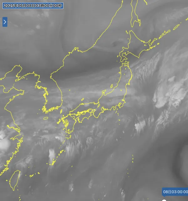 2025年6月8日3時の日本周辺の衛星水蒸気画像