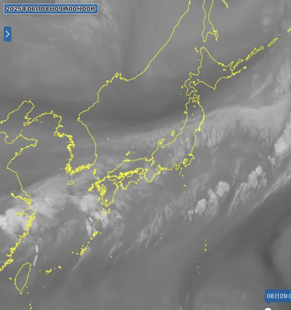 2025年6月8日9時の日本周辺の衛星水蒸気画像