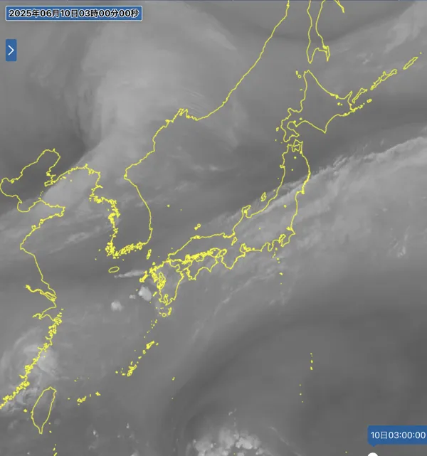 2025年6月10日3時の日本周辺の衛星水蒸気画像