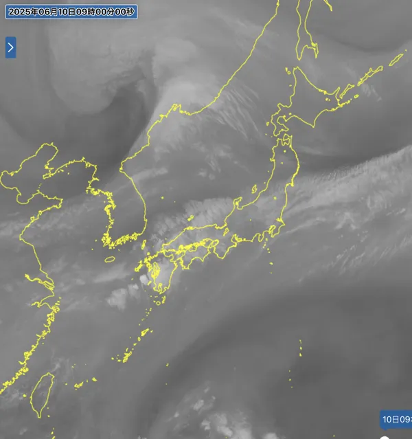2025年6月10日9時の日本周辺の衛星水蒸気画像