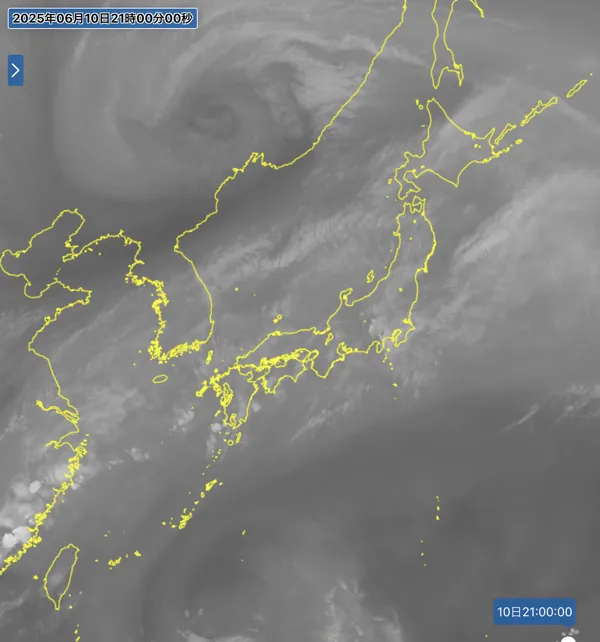 2025年6月10日21時の日本周辺の衛星水蒸気画像