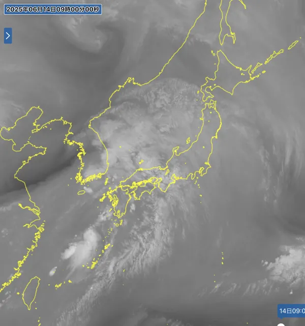 2025年6月14日9時の日本周辺の衛星水蒸気画像