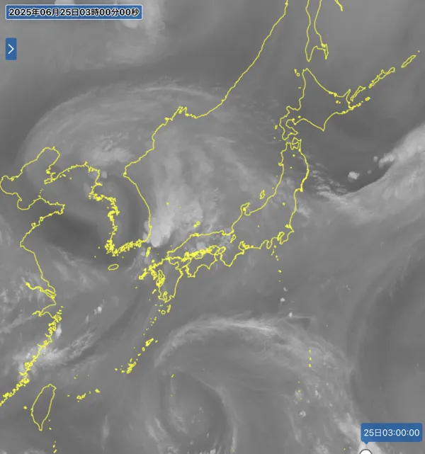 2025年6月25日3時の日本周辺の衛星水蒸気画像