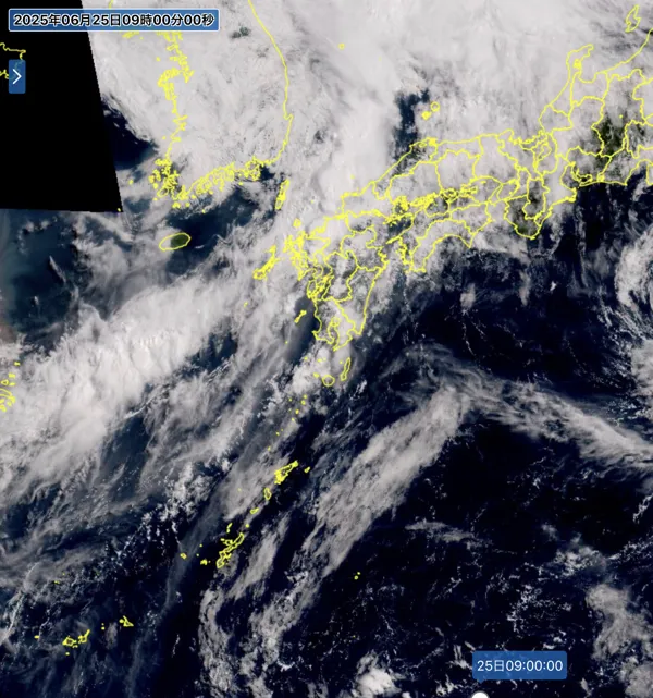 2025年6月25日9時の日本周辺の衛星可視画像