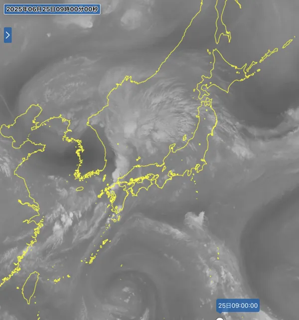2025年6月25日9時の日本周辺の衛星水蒸気画像