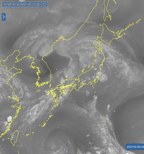 2025年6月25日15時の日本周辺の衛星水蒸気画像