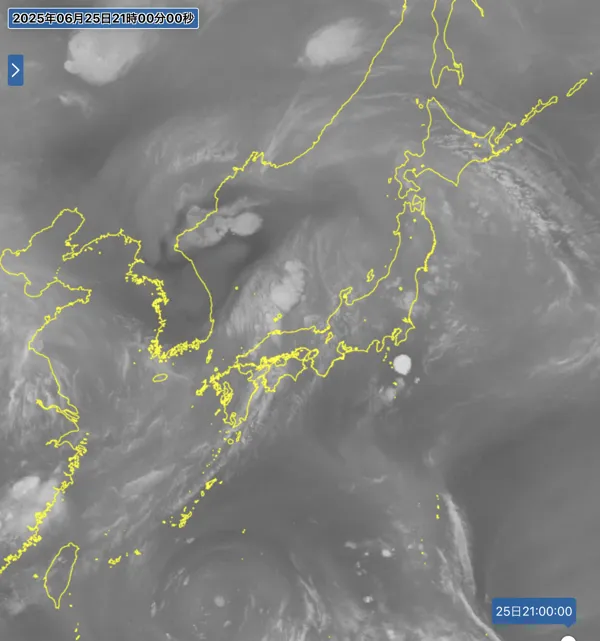 2025年6月25日21時の日本周辺の衛星水蒸気画像