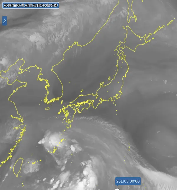 2025年7月25日3時の日本周辺の衛星水蒸気画像