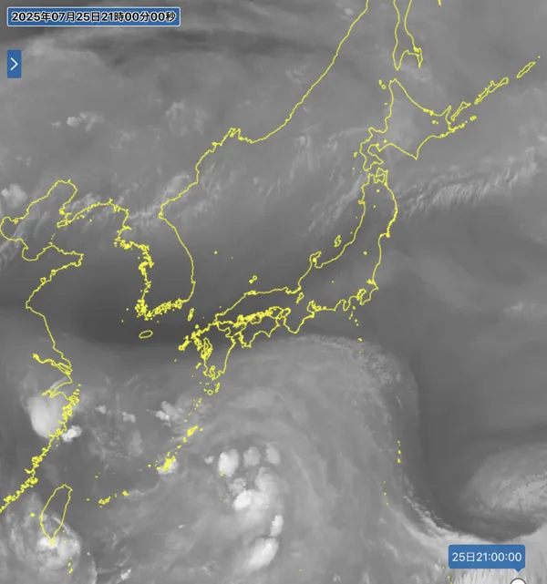 2025年7月25日21時の日本周辺の衛星水蒸気画像
