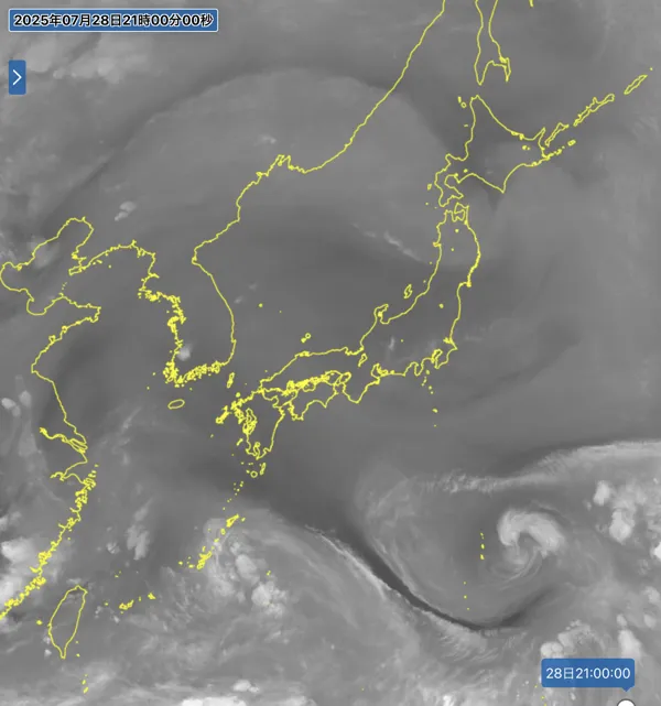 2025年7月28日21時の日本周辺の衛星水蒸気画像