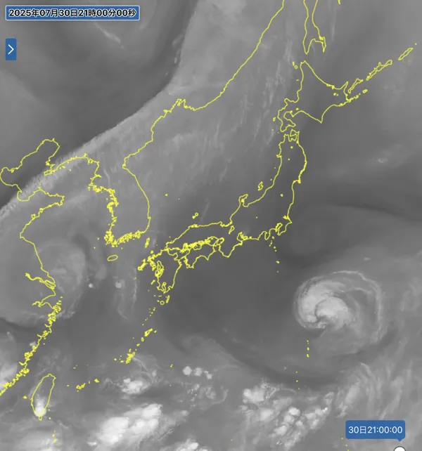 2025年7月30日21時の日本周辺の衛星水蒸気画像