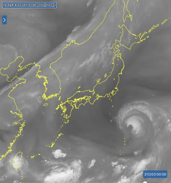 2025年7月31日3時の日本周辺の衛星水蒸気画像
