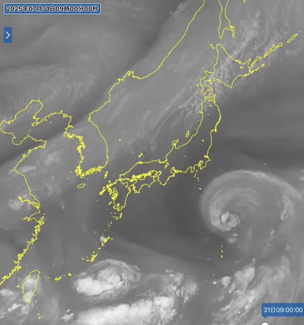 2025年7月31日9時の日本周辺の衛星水蒸気画像