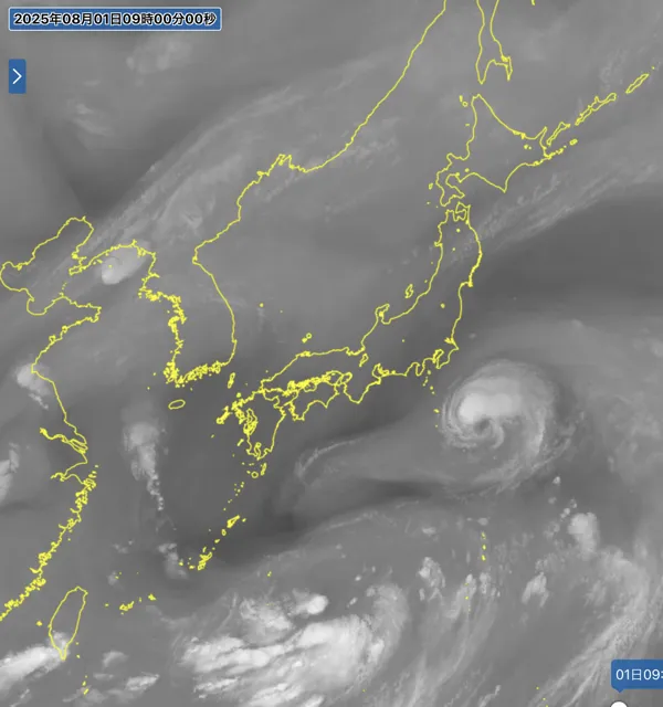 2025年8月1日9時の日本周辺の衛星水蒸気画像