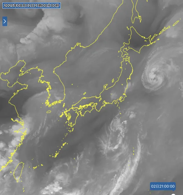 2025年8月2日21時の日本周辺の衛星水蒸気画像