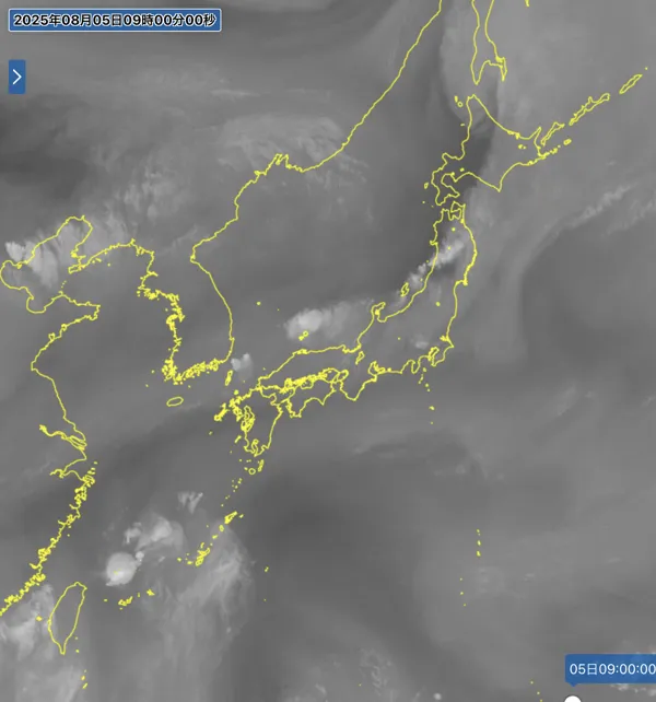 2025年8月5日9時の日本周辺の衛星水蒸気画像