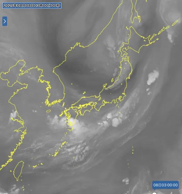 2025年8月8日3時の日本周辺の衛星水蒸気画像