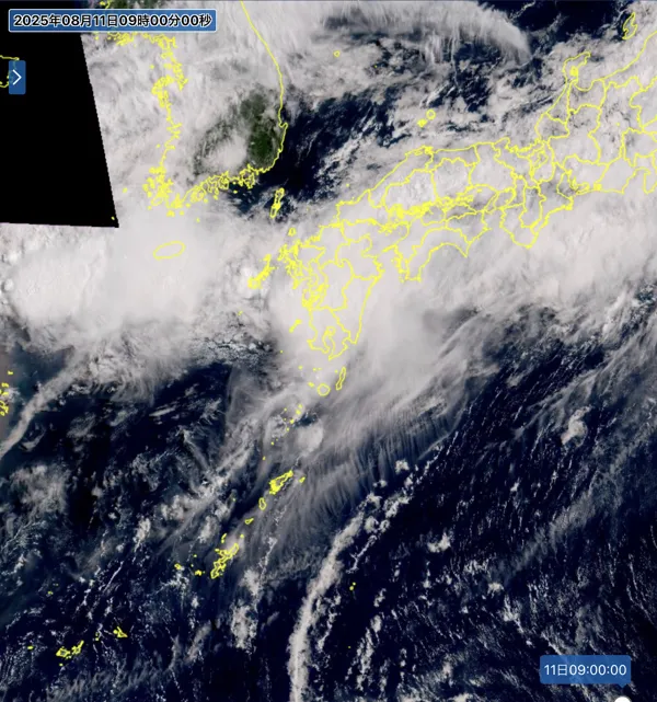 2025年8月11日9時の日本周辺の衛星可視画像