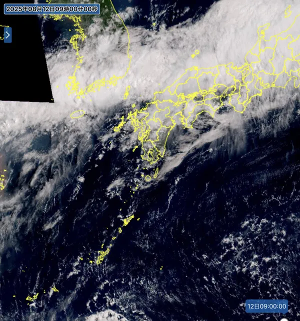 2025年8月12日9時の日本周辺の衛星可視画像