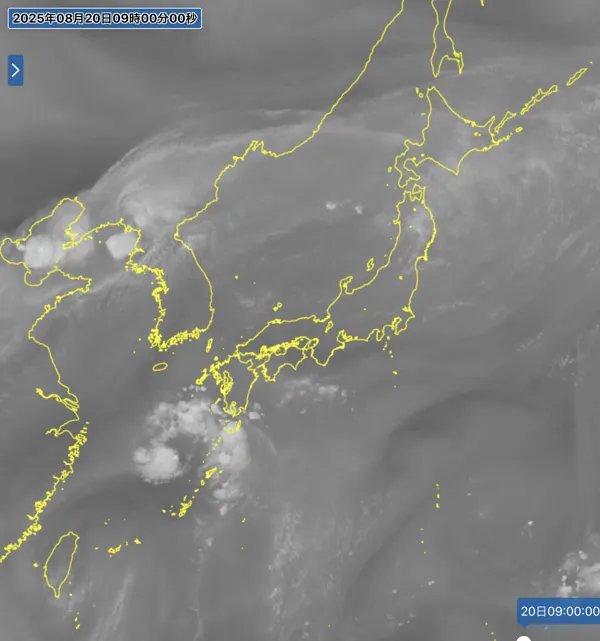 2025年8月20日9時の日本周辺の衛星水蒸気画像