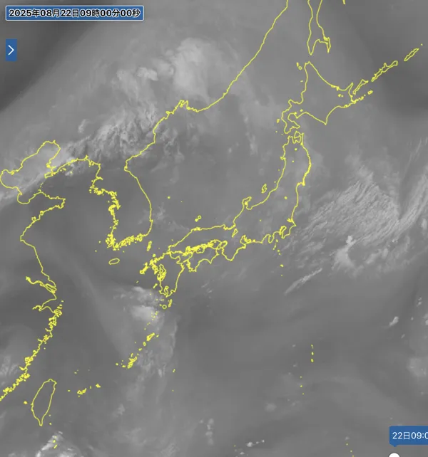 2025年8月22日9時の日本周辺の衛星水蒸気画像