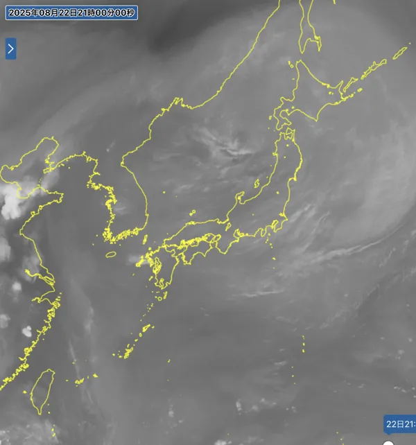2025年8月22日21時の日本周辺の衛星水蒸気画像