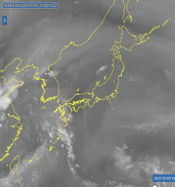 2025年8月30日15時の日本周辺の衛星水蒸気画像