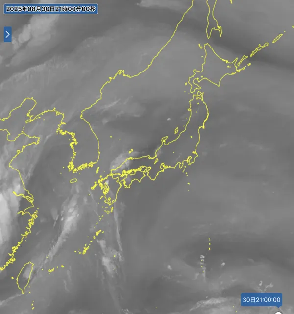 2025年8月30日21時の日本周辺の衛星水蒸気画像