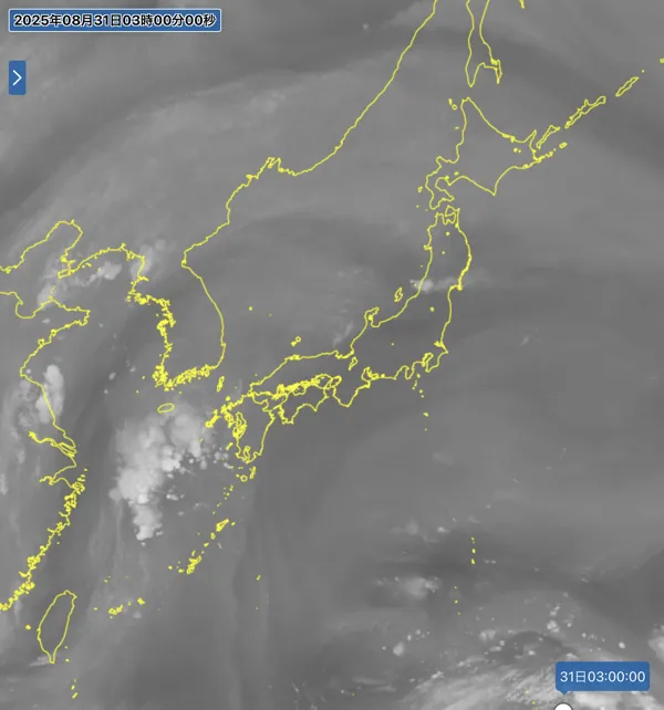 2025年8月31日3時の日本周辺の衛星水蒸気画像
