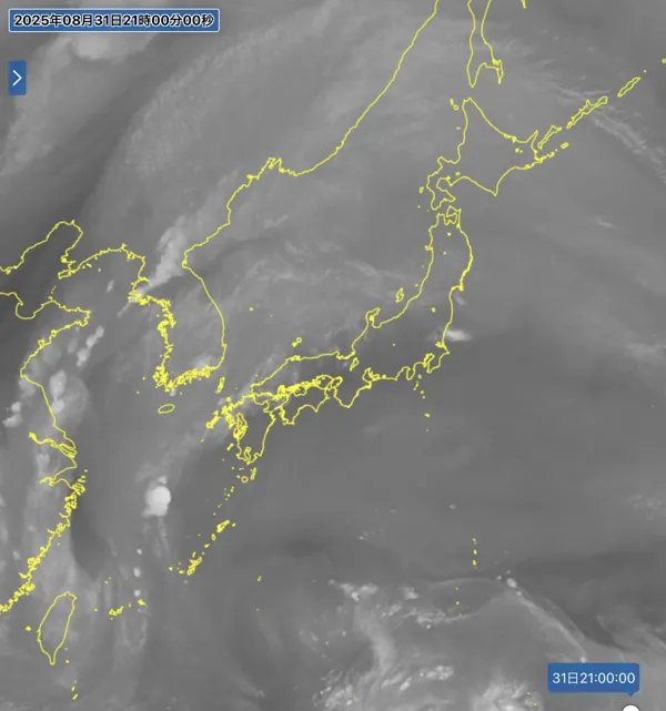 2025年8月31日21時の日本周辺の衛星水蒸気画像