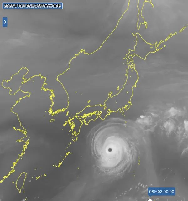 2025年10月8日3時の日本周辺の衛星水蒸気画像