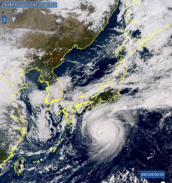 2025年10月8日9時の日本周辺の衛星可視画像