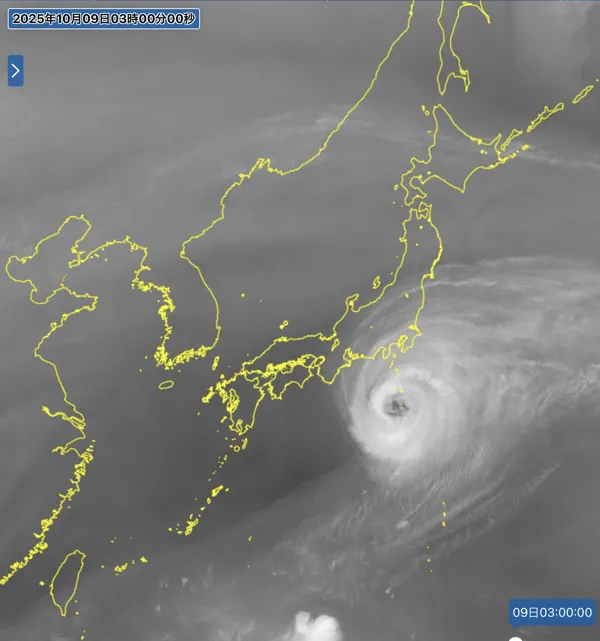 2025年10月9日3時の日本周辺の衛星水蒸気画像