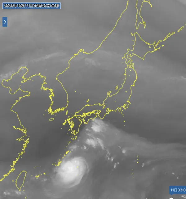 2025年10月11日3時の日本周辺の衛星水蒸気画像