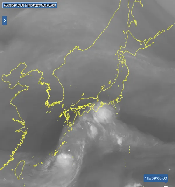 2025年10月11日9時の日本周辺の衛星水蒸気画像