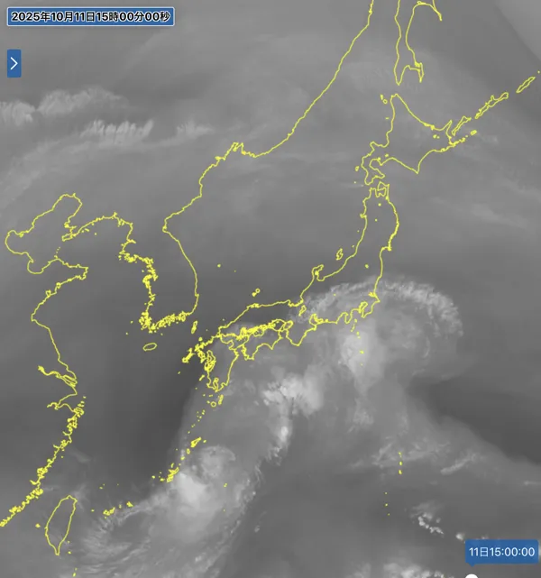 2025年10月11日15時の日本周辺の衛星水蒸気画像