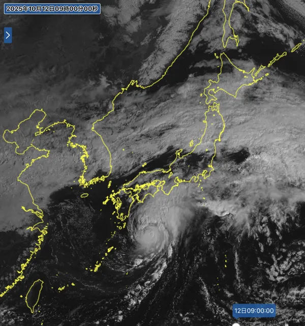 2025年10月12日9時の日本周辺の衛星可視画像