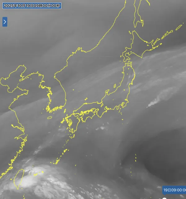 2025年10月19日9時の日本周辺の衛星水蒸気画像
